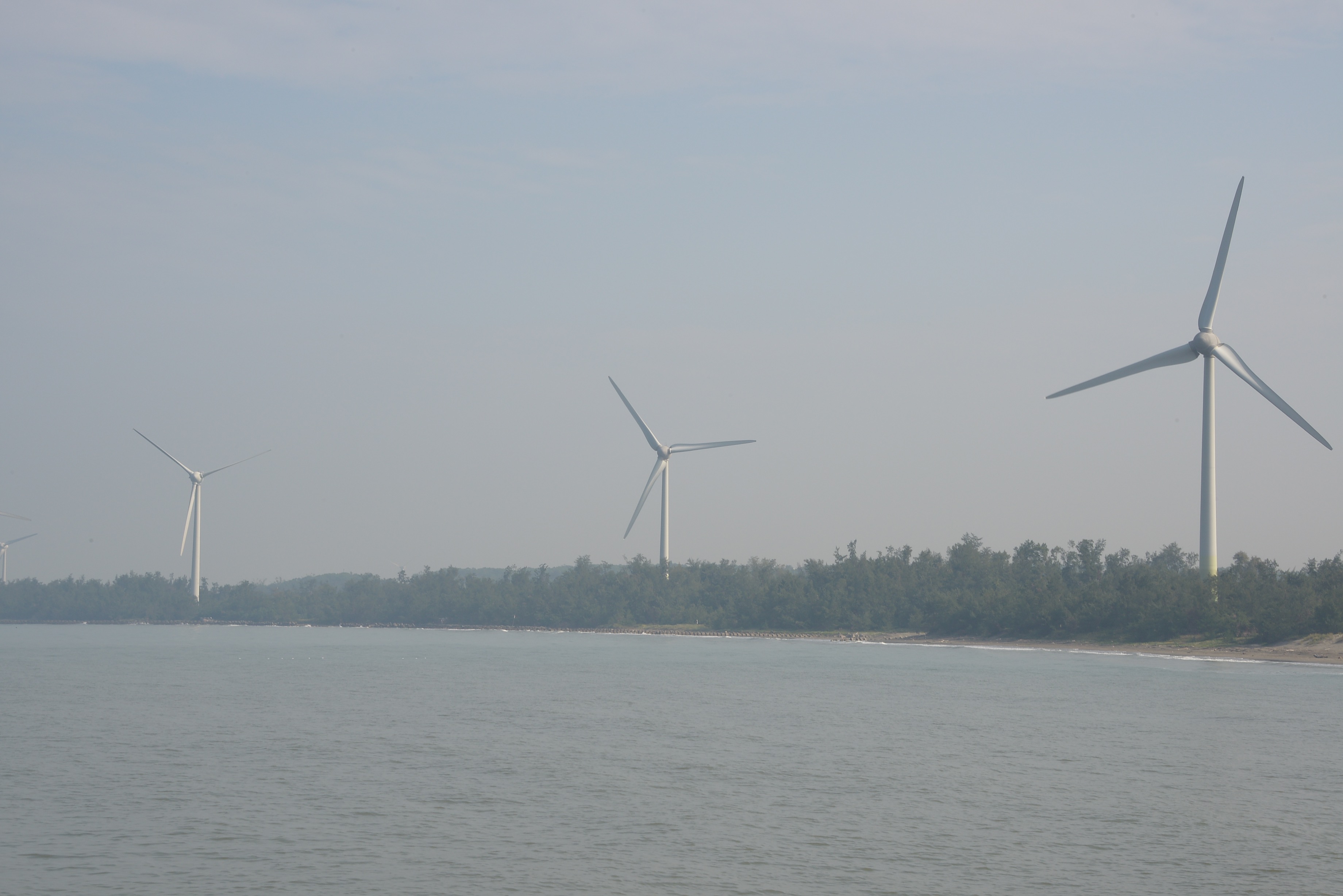 林揆：積極發展我國離岸風力發電 落實能源結構轉型 　共5張