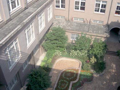 中庭 (天井)20