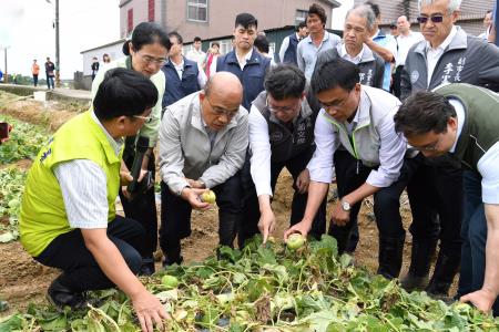 20190521行政院長蘇貞昌視察桃園市觀音區五月豪雨農作物香瓜災損情形 　共14張