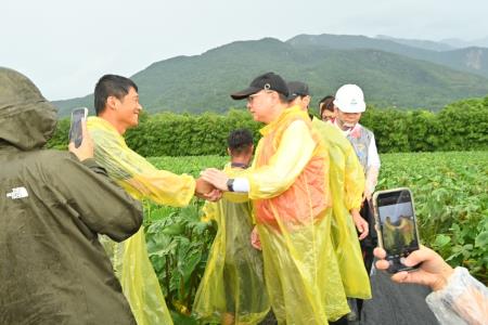 2024年7月27日行政院長卓榮泰視察芋頭農作災損情形 _1_　共9張