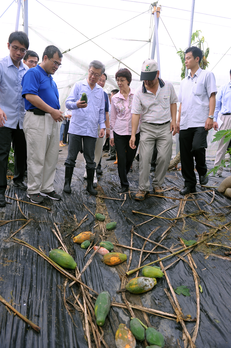 陳揆視察高雄地區避難收容所及美濃區農作受損情況 　共1張