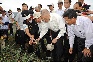 吳揆視察宜蘭縣青蔥災情，並巡視新寮溪與蘭陽溪排水及堤防修復工程 　共1張