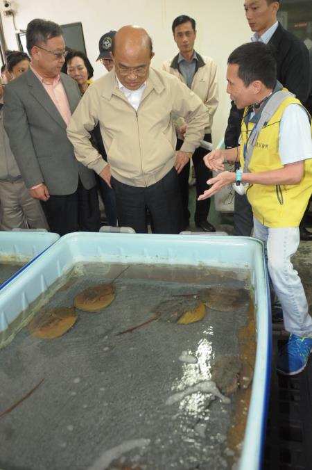 2019年5月7日行政院長蘇貞昌視察視察農委會水試所澎湖海洋生物研究中心1　共10張