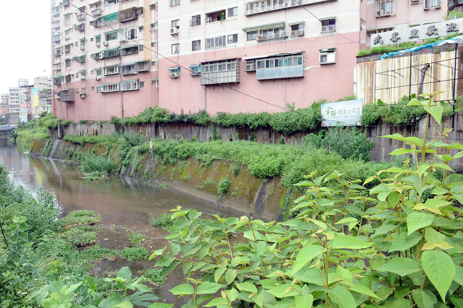 視察基隆大武崙溪整治情形 賴揆：中央、地方攜手合作 使治水工作圓滿成功