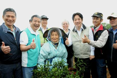 參訪日新茶園_2