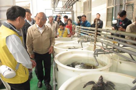 2019年5月7日行政院長蘇貞昌視察視察農委會水試所澎湖海洋生物研究中心2 　共10張