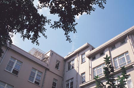 中庭 (天井)6