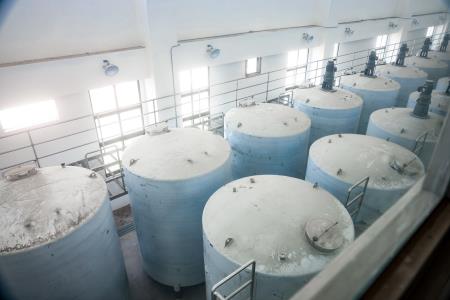 2026年5月1日行政院長卓榮泰視察馬祖酒廠南竿二場新建工程進度 　共5張
