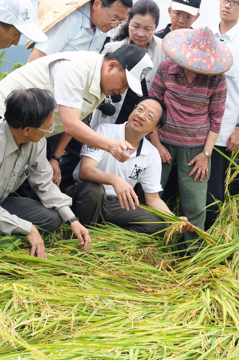 江揆至臺中、宜蘭視察農損情形  指示農委會積極協助 　共2張