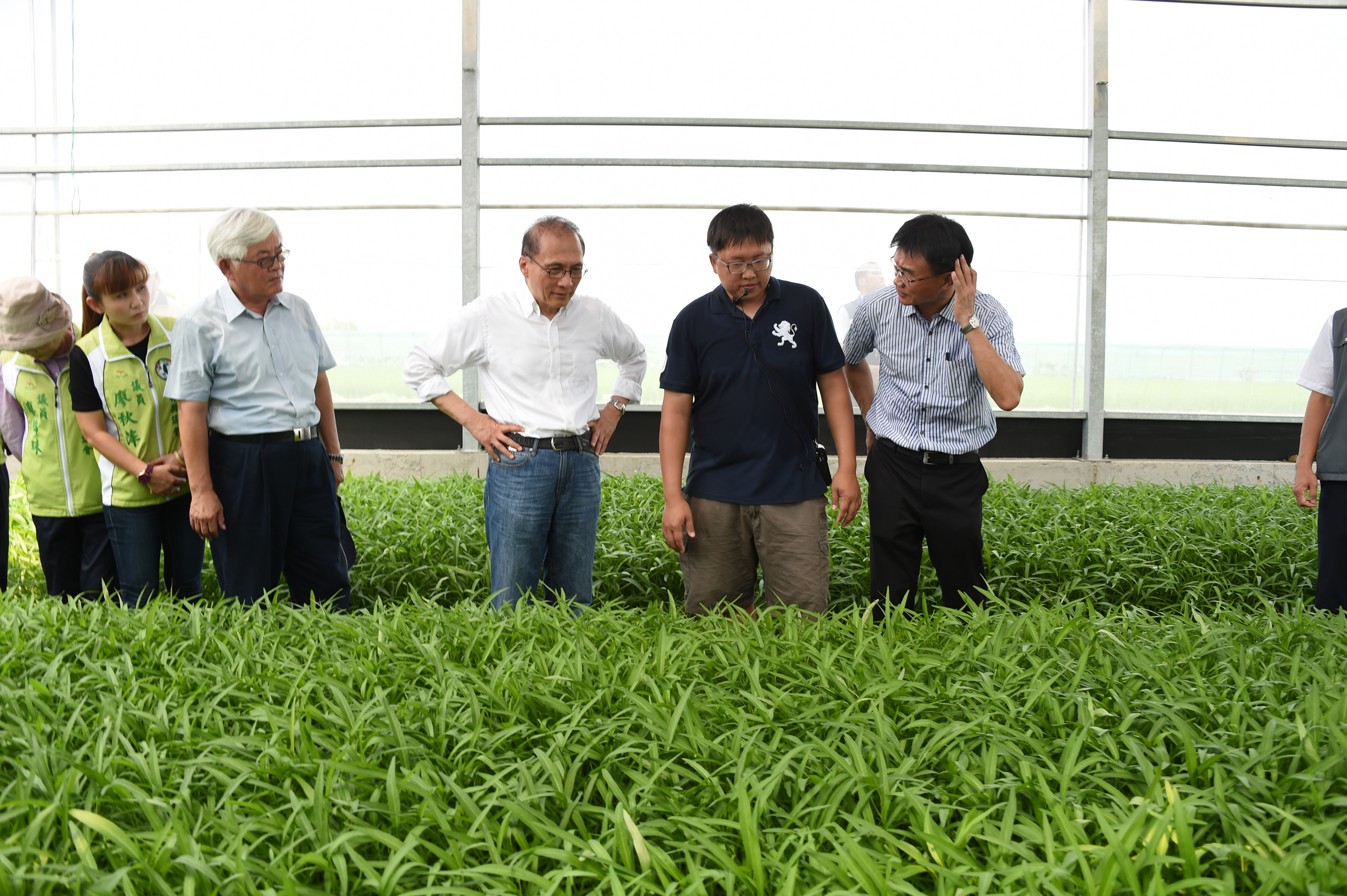 林揆：加強推廣設施農業  帶動台灣農業發展