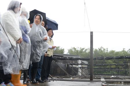 1080103-2行政院長賴清德視察地方創生-養殖青年返鄉產業傳承（九孔育種）S__8380425