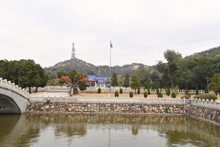 S__137846853_0