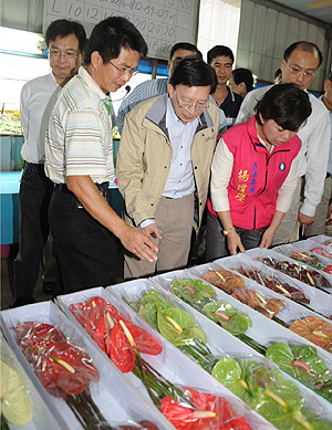 劉揆訪視台中縣后里鄉火鶴花栽種農家，並與農民鄉親們午餐座談聆聽基層心聲。 　共1張