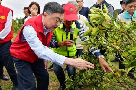 2026年10月25日行政院長卓榮泰視察宜蘭縣礁溪鄉金柑受損情形 　共10張