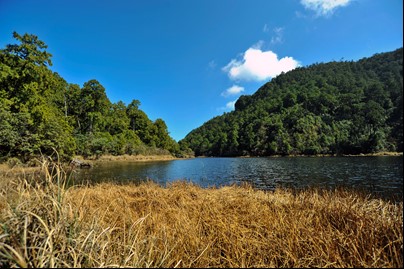 新竹縣尖石鄉鴛鴦湖自然保留區