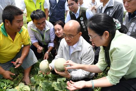 20190521行政院長蘇貞昌視察桃園市新屋區五月豪雨農作物洋香瓜災損情形　共14張