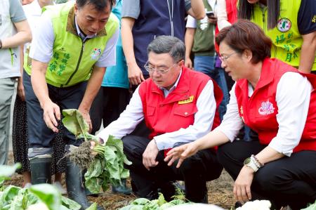 2025年7月11日行政院長卓榮泰視察彰化縣福興鄉花椰菜受損情形　共6張