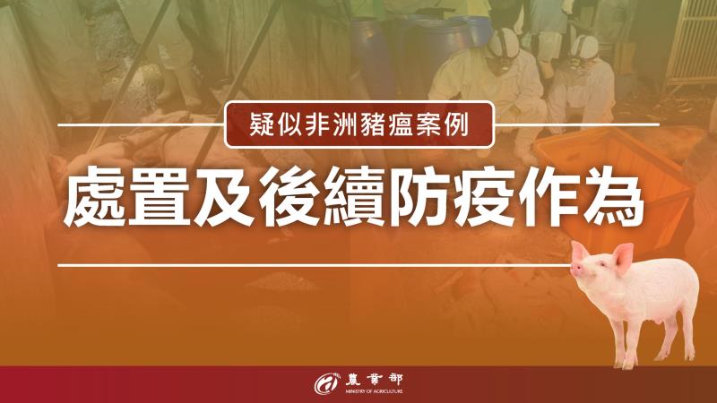疑似非洲豬瘟案例處置及後續防疫作為 　共1張