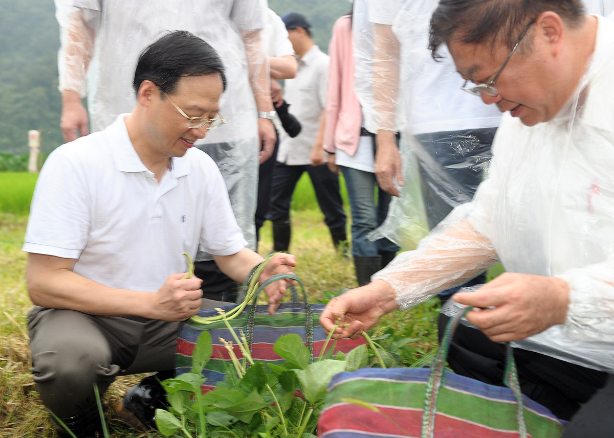 江揆鼓勵青年務農 期望友善環境耕作成為農業政策重要主軸 　共2張