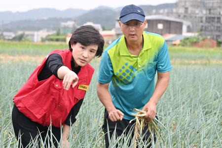 行政院副院長鄭麗君視察三星蔥農作災損情形　共14張