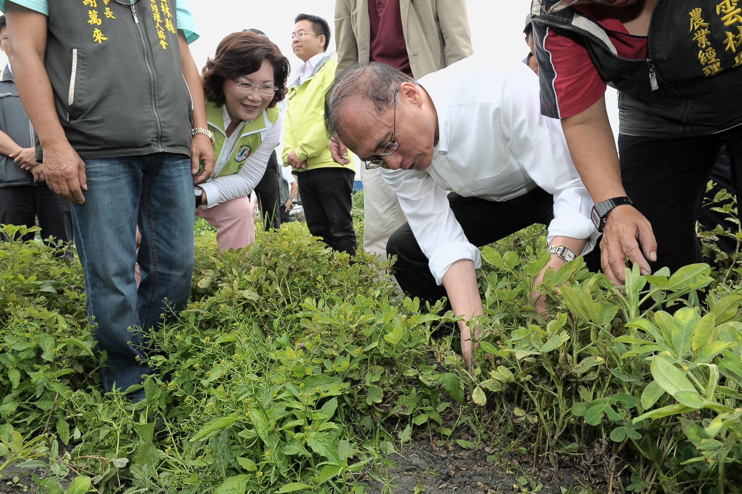 林揆：積極推動農業現代化 以雲林為新農業大糧倉示範據點 　共4張