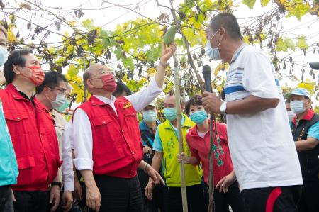 2021年8月10日行政院長蘇貞昌視察臺南東山區絲瓜及龍眼受損情形_1　共4張