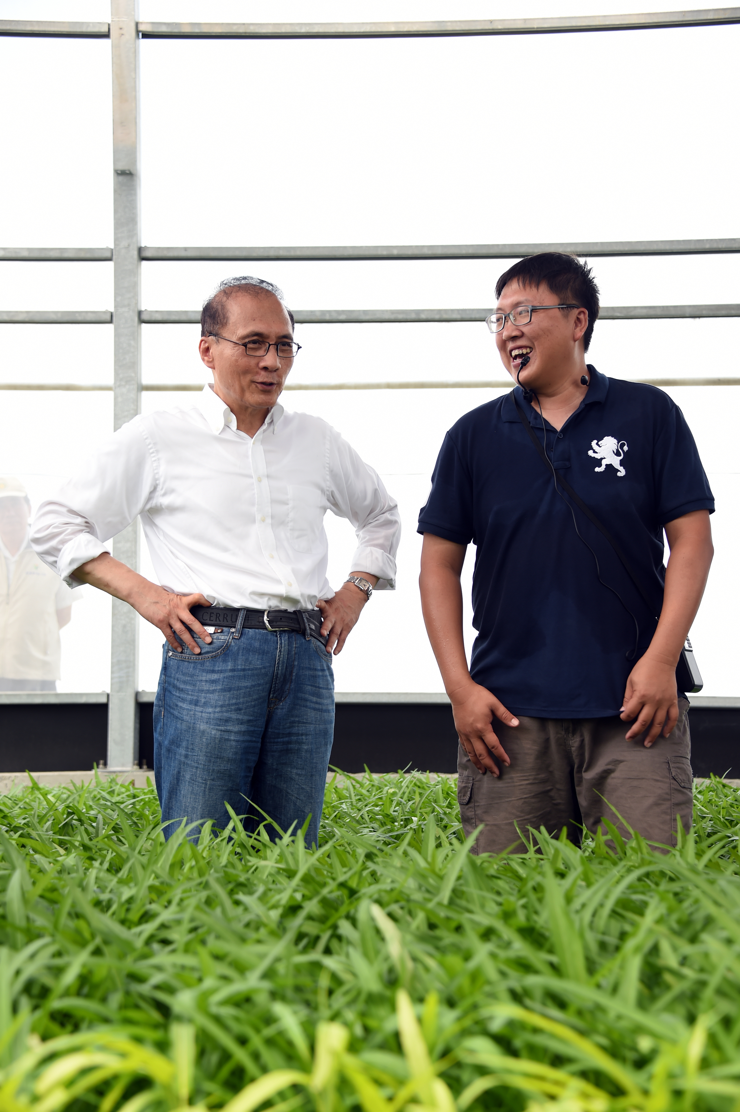 林揆：加強推廣設施農業  帶動台灣農業發展