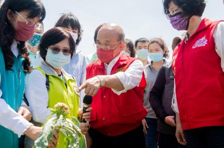 2021年8月10日行政院長蘇貞昌視察彰化福興鄉白花椰菜受損情形　共4張