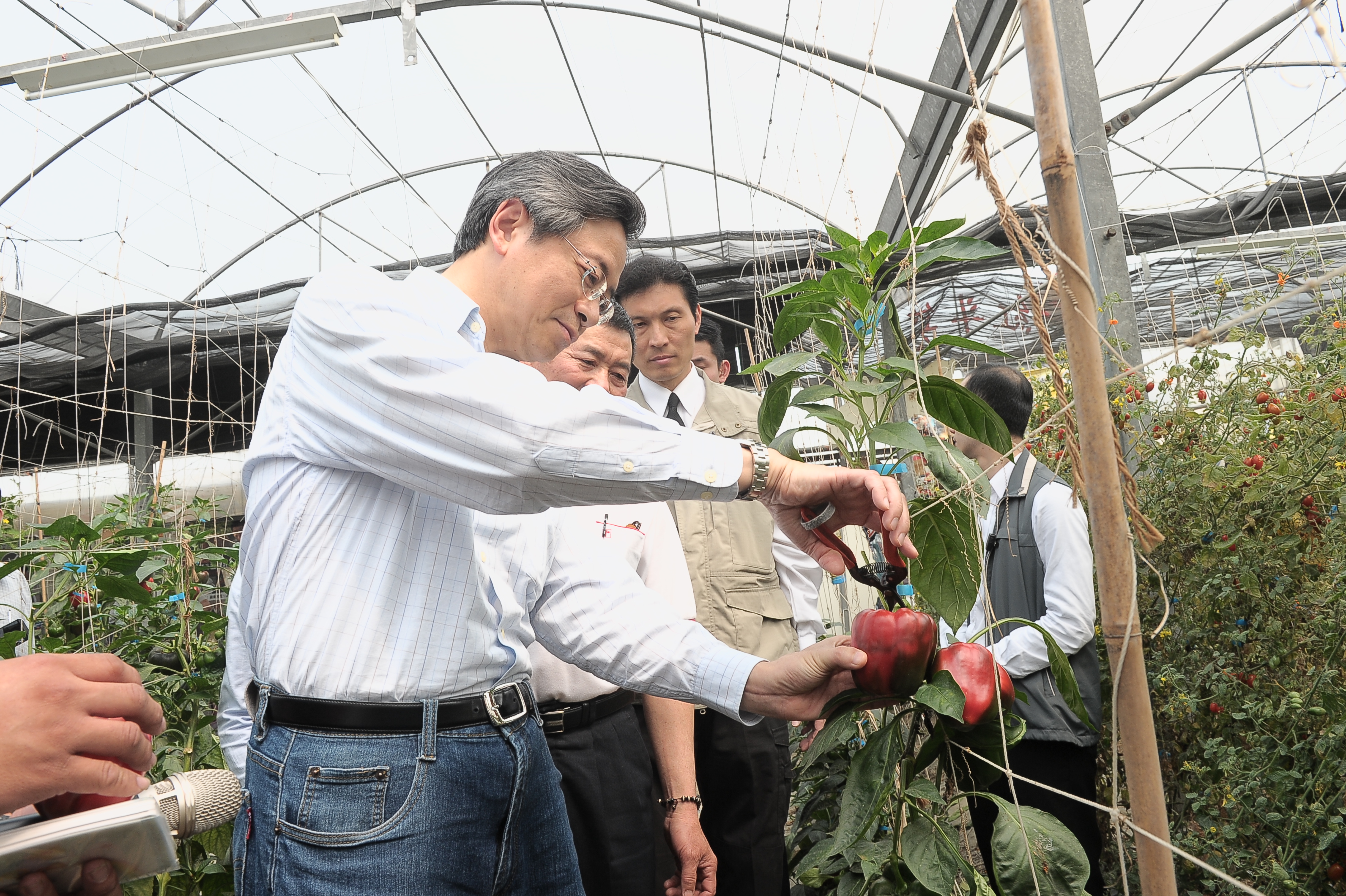 張揆期勉青年農民成為臺灣農業創新的進撃力量 　共8張