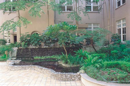 中庭 (天井)14