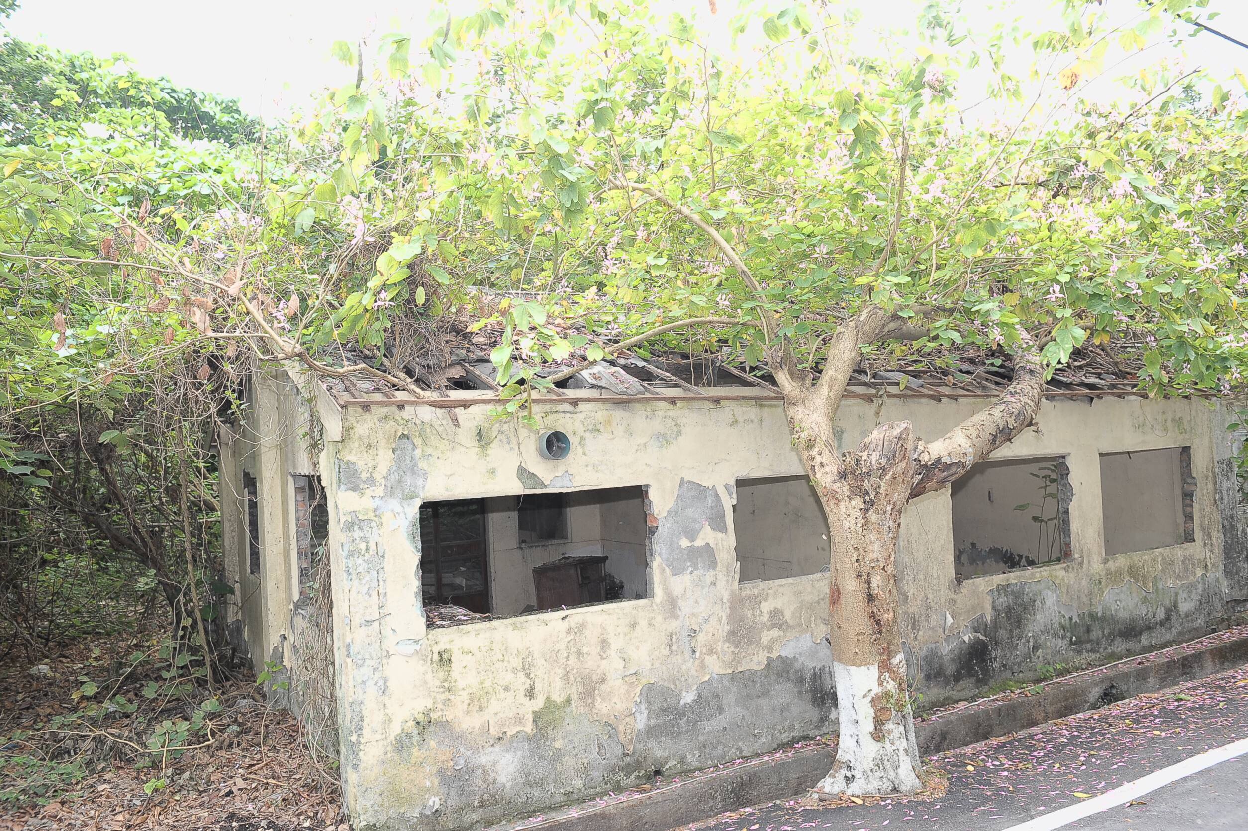 林揆：在地歷史生動化 讓雲林建國眷村成為文化保存新典範　共3張