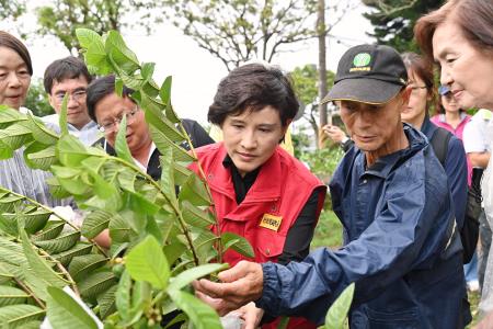 視察番石榴農作災損　共14張