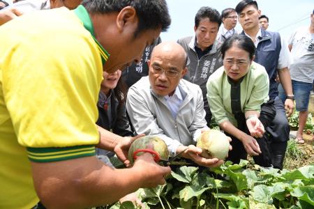 20190521行政院長蘇貞昌視察桃園市新屋區五月豪雨農作物洋香瓜災損情形