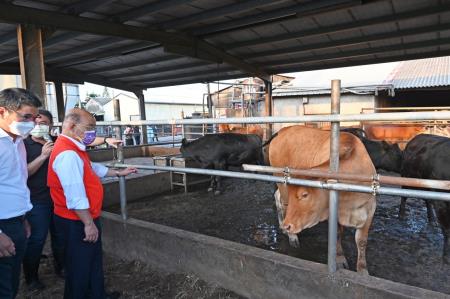 2022年9月25日行政院長蘇貞昌視察台灣肉牛產業_2