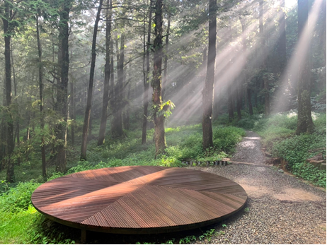 阿里山國家森林遊樂區水山療癒步道內的「森天觀影」療癒空間。（圖／農業部提供）