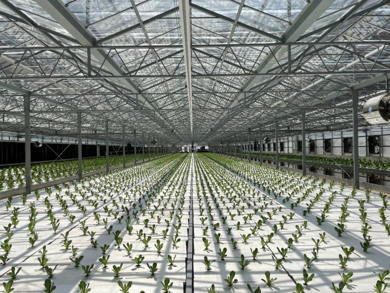溫網室設施栽培，提升防雨及防災效能，提高品質及穩定產量 　共1張