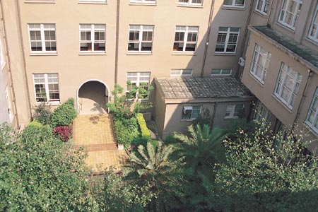中庭 (天井)15